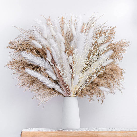 Boho Chic 80 Piece Pampas Grass Bundle Modernible 